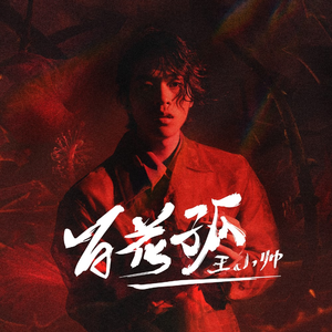 百花孤 (Dj沈念版)